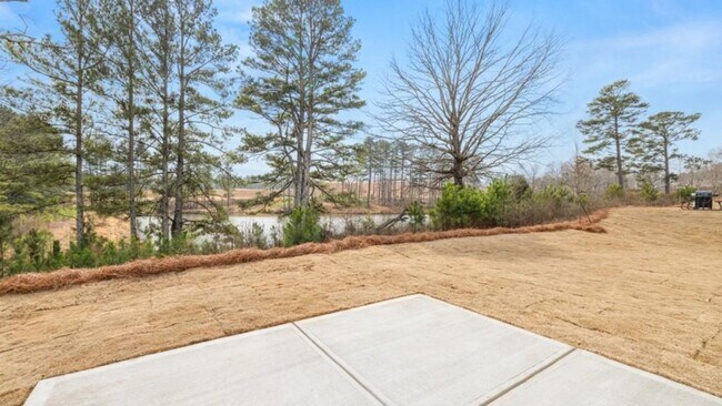 Building Photo - New Construction Five Bedroom Avail Now