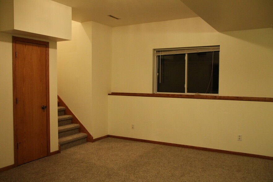 Lower level family room - 648 S Burr Oak Ave