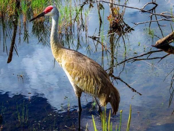 Building Photo - 4456 Streamside Ct