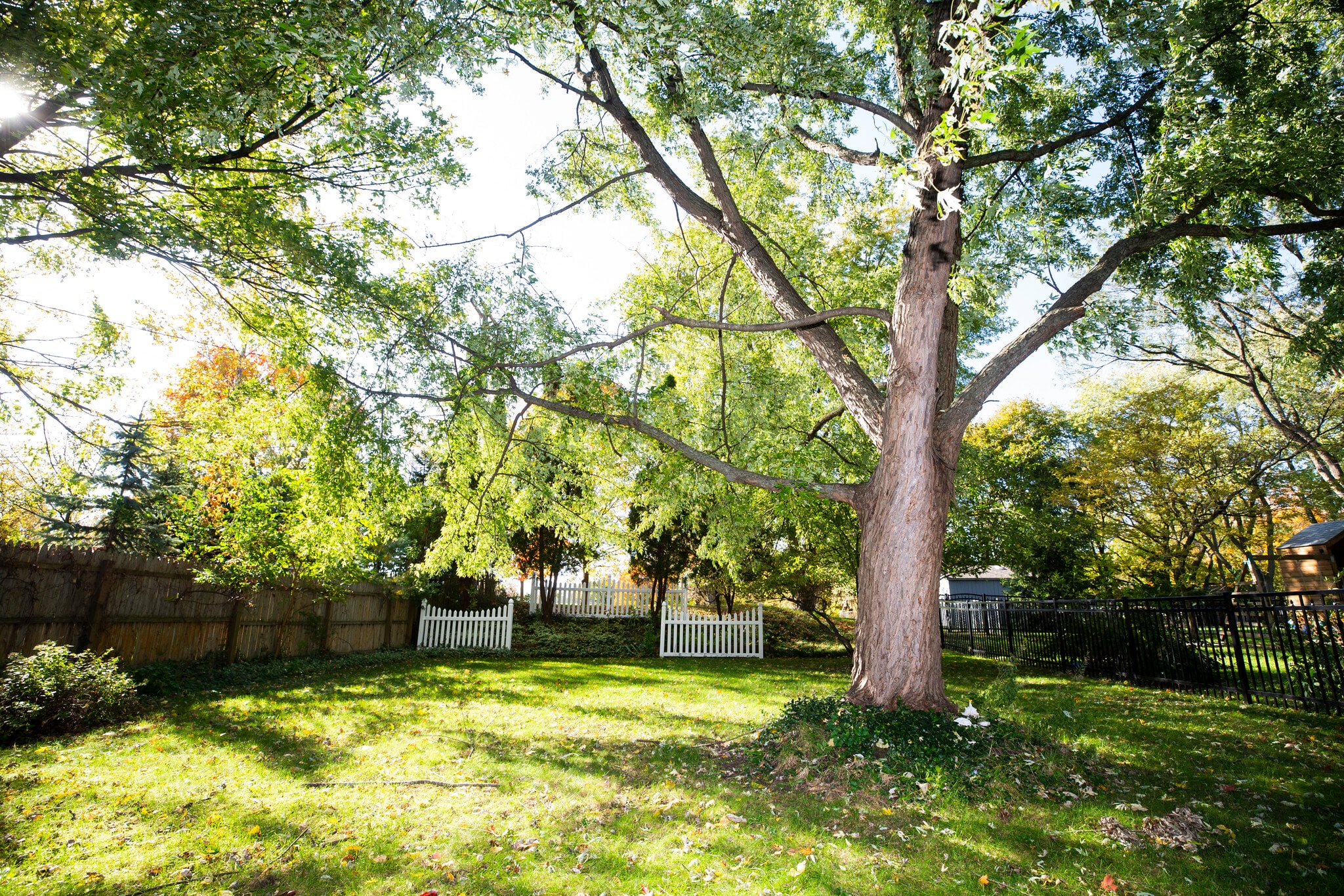 Building Photo - 1327 N Oak St