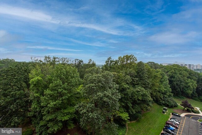 Building Photo - 203 Yoakum Pkwy