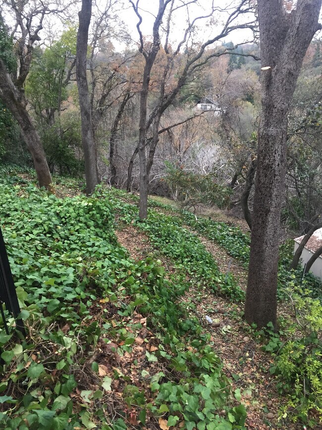 Building Photo - 110 Rock Ravine Ct