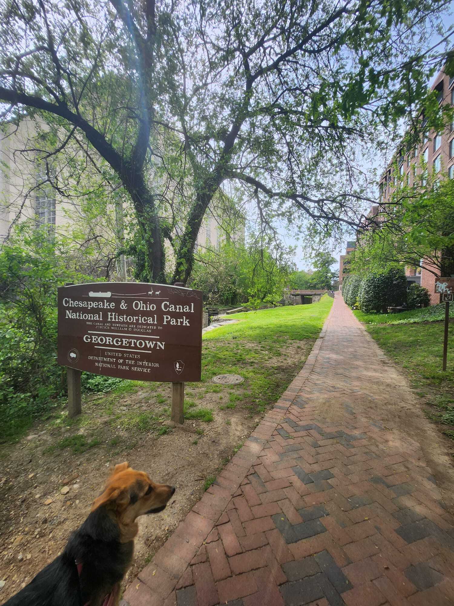 The Neighborhood - Georgetown - 2515 K St NW