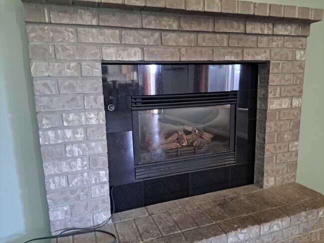 Sealed propane fireplace - 15815 NE 69th St