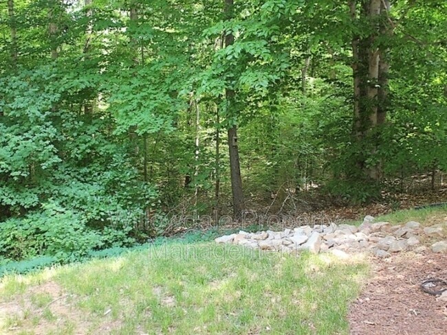 Building Photo - 4760 Black Mountain Path