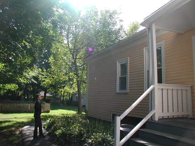 Yard View - 28 Muzzey St