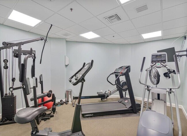 Building Photo - Paradise Found! 13th Floor Condo 3/2