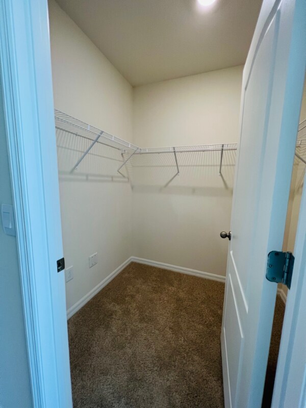 Building Photo - 1110 Star Ruby Ln