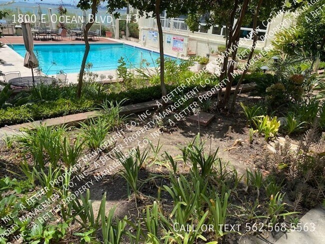 Building Photo - Historic FULLY FURNISHED Mid-Century Moder...