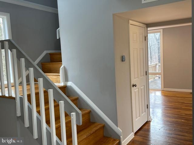 Building Photo - 12706 Torrington St