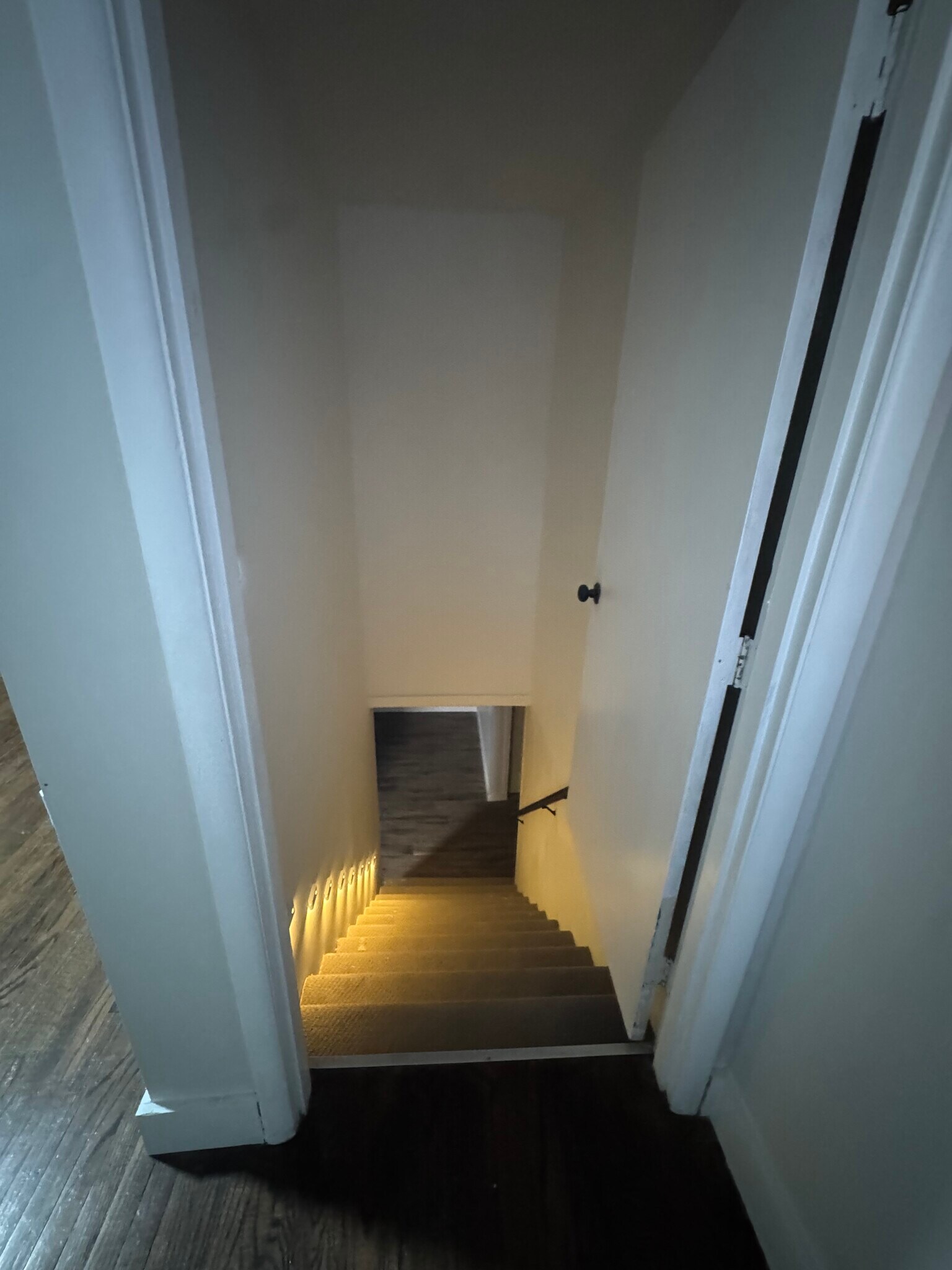 Stairs to basement - 7903 Canna Dr