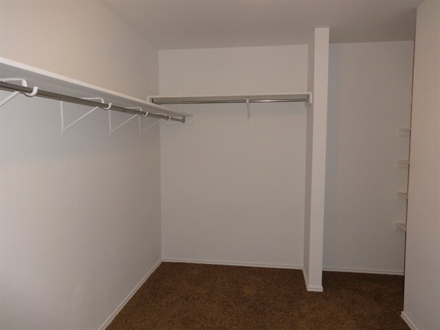 Building Photo - 1212 Afghan Path