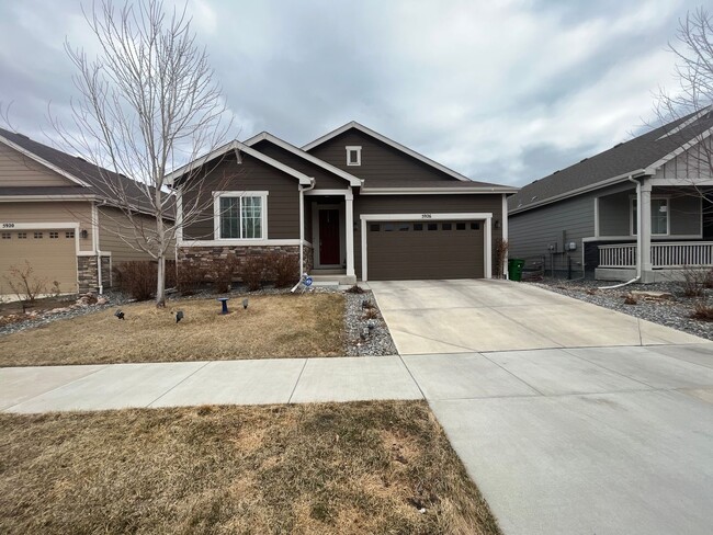 Primary Photo - Amazing Home in South Fort Collins