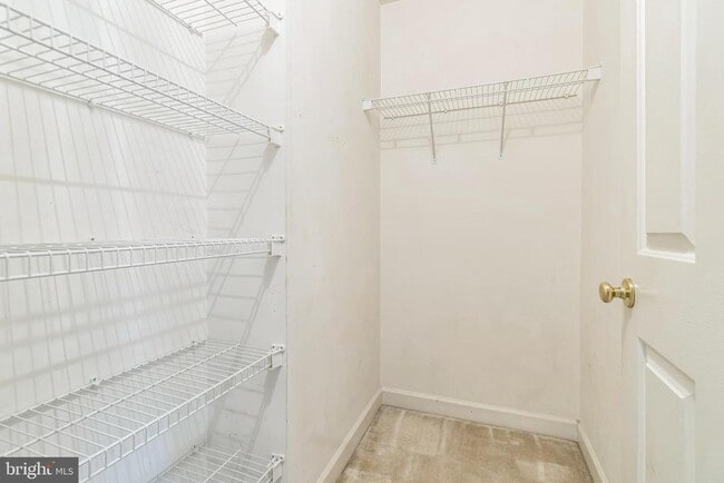 Building Photo - 8159 Skelton Cir