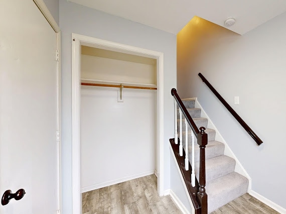 Building Photo - 8 Rutherford Pl