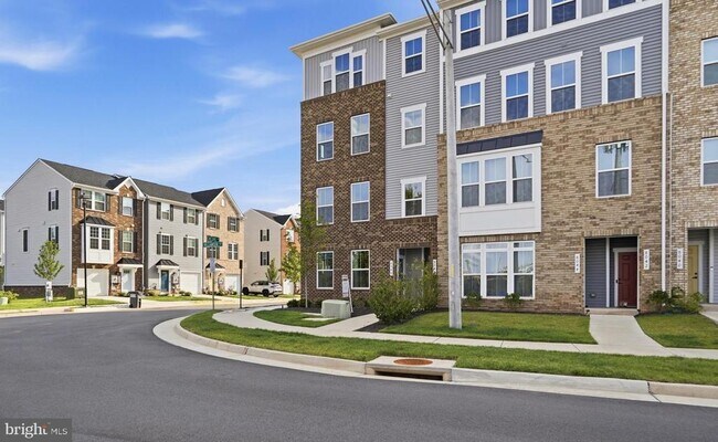 Building Photo - 8046 Williamson Blvd