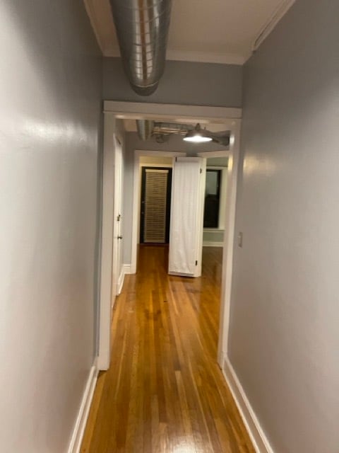 Hallway - 5442 S Cornell Ave