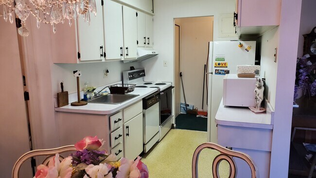 Kitchen - 315 Solon Rd