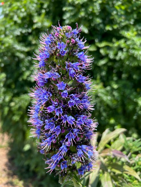 Building Photo - 25147 Jack Rabbit Acres