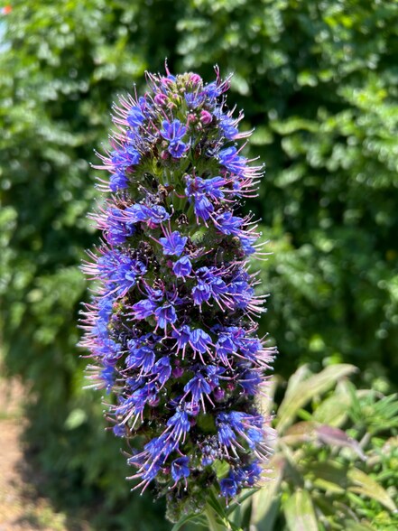 Primary Photo - 25147 Jack Rabbit Acres