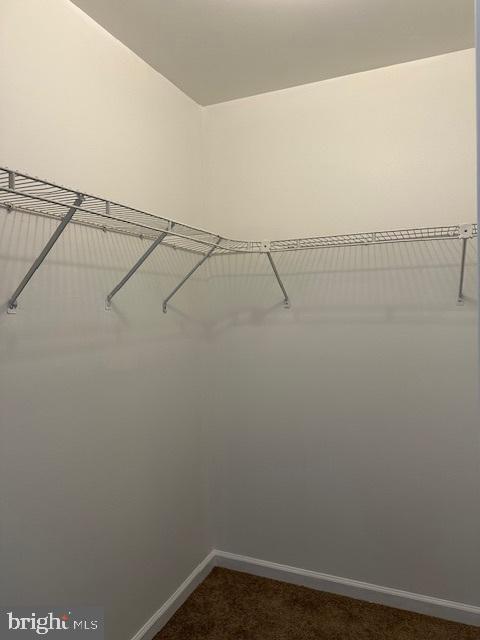 Building Photo - 26 Petersburg Ln