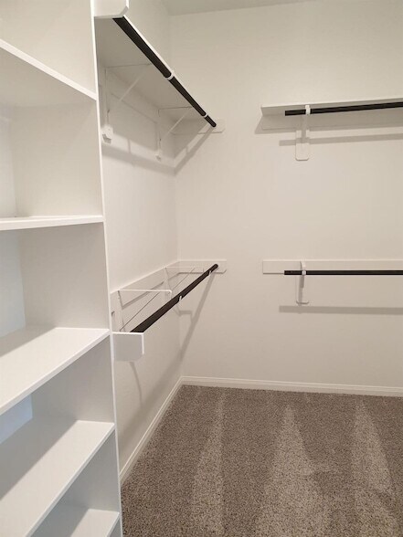 Building Photo - 511 Ellwood Terrace Ln