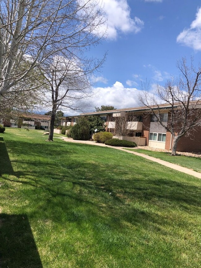 Building Photo - Charming 1 Bedroom with Patio and Reserved Parking in Gunbarrel
