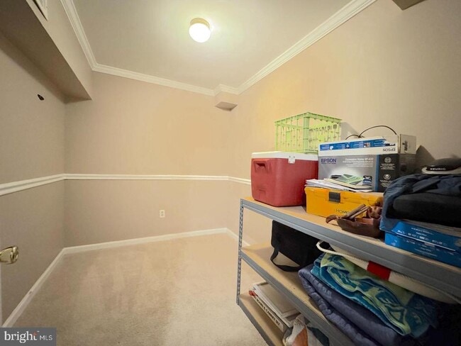 Building Photo - 2334 Antiqua Ct