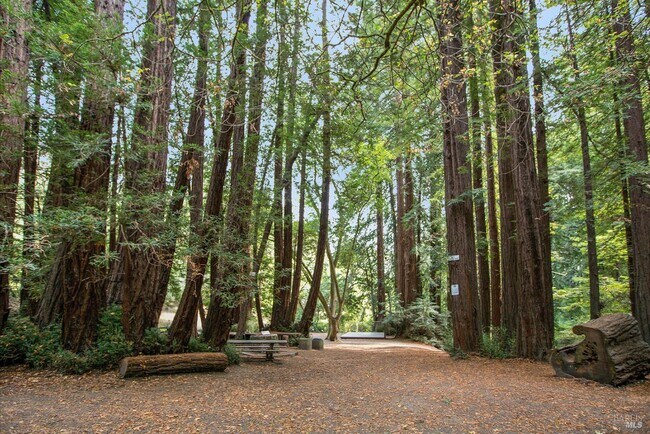 Building Photo - 162 Throckmorton Ave