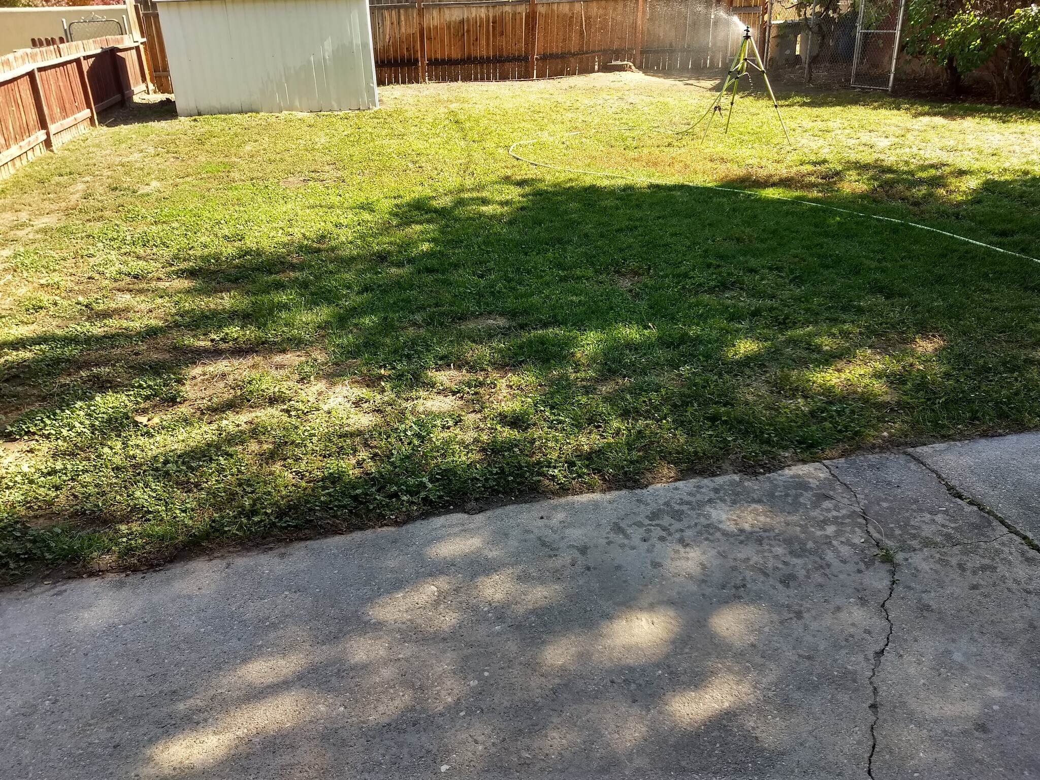 rear - 1506 S Denver Ave