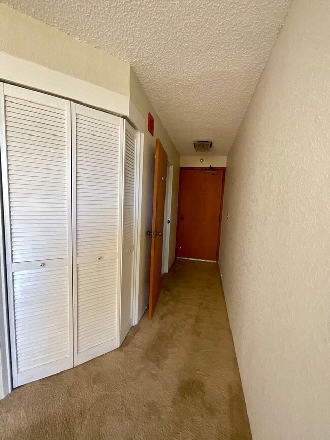 Building Photo - Charming & Convenient Studio, Great Building