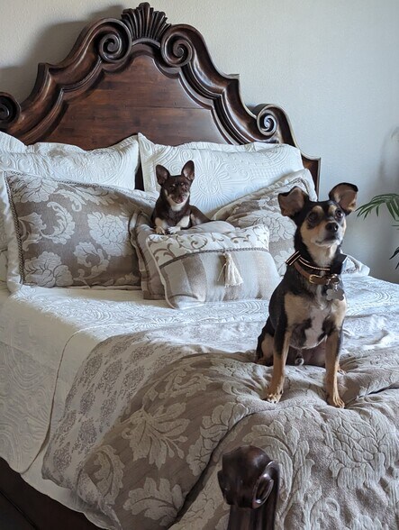 Building Photo - 81722 Camino Los Milagros