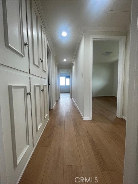 Building Photo - 28019 Braidwood Dr