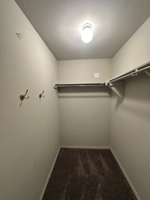 Building Photo - 4208 Siena Ridge Blvd