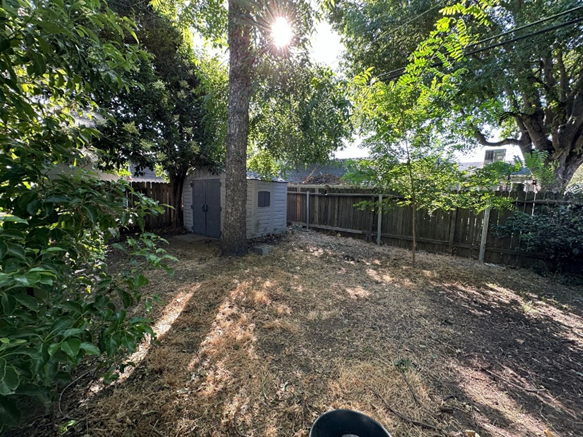 Backyard Left Side - 1125 Park Blvd