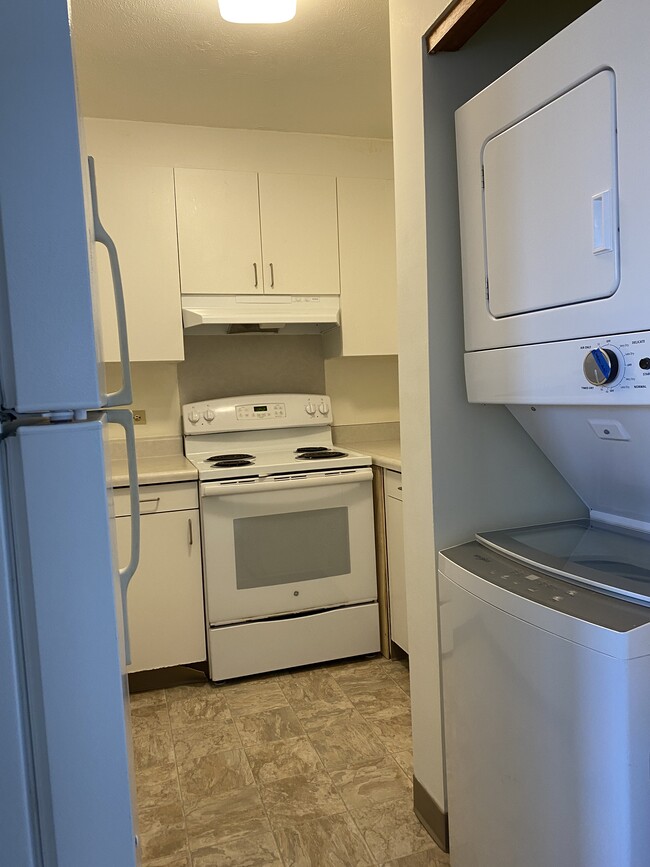 Kitchen/Laundry - 1505 Alexander St