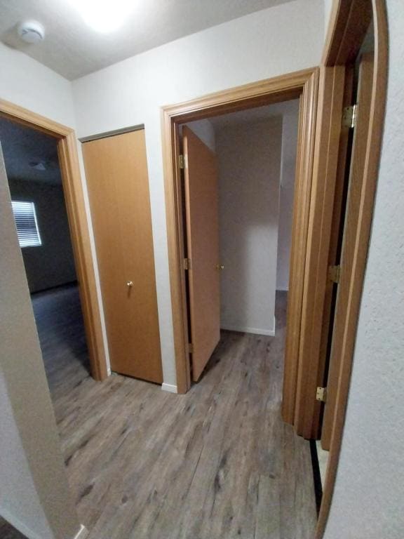 Building Photo - 1312 Dowell Rd