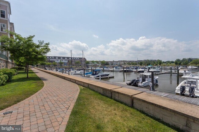 Building Photo - 500 Belmont Bay Dr