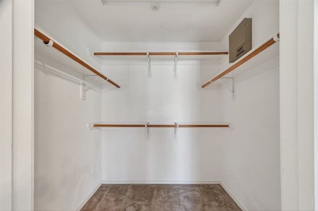 Building Photo - 3218 Pearl Bluff Ln