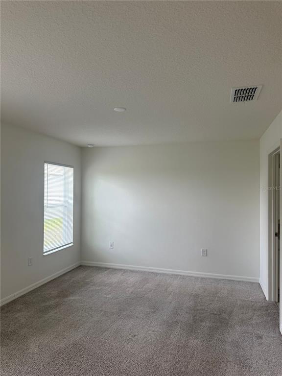 Building Photo - 711 Scrub Oak Hammock Rd