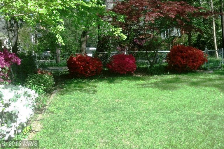 Back yard - 9707 Bristol Ave