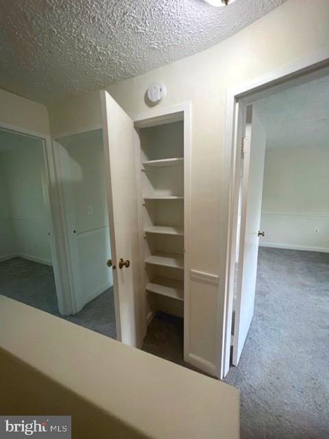 Building Photo - 429 Hampton Ct