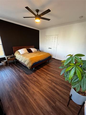 Building Photo - 4114 Lafayette St