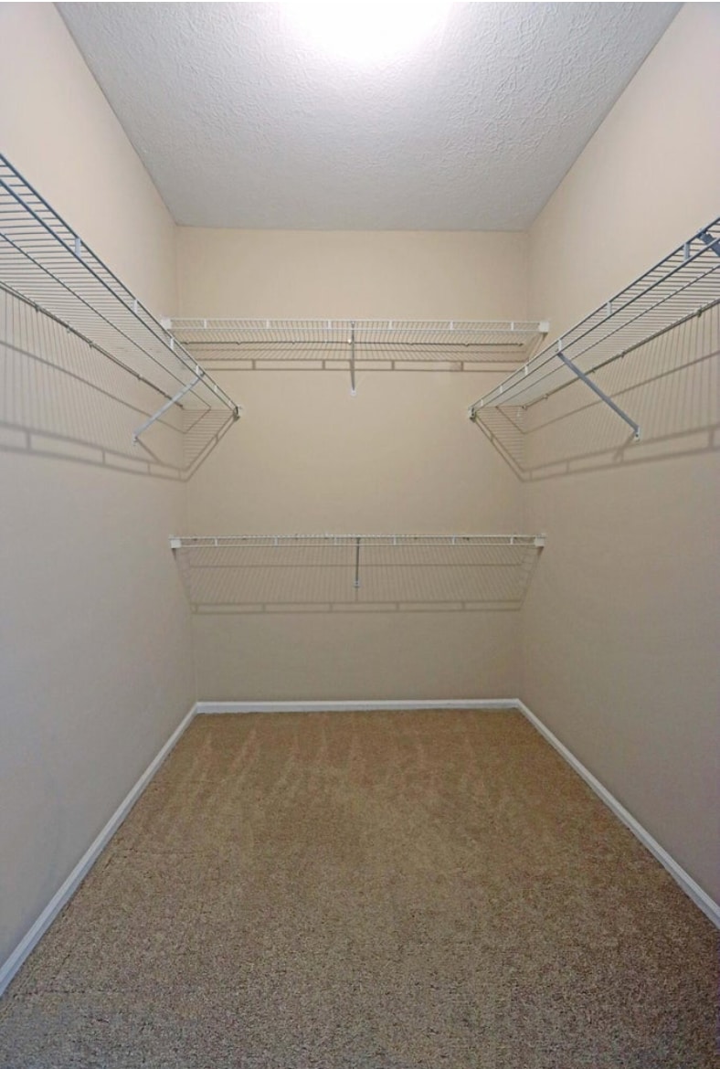 Building Photo - 6017 Craughwell Ln