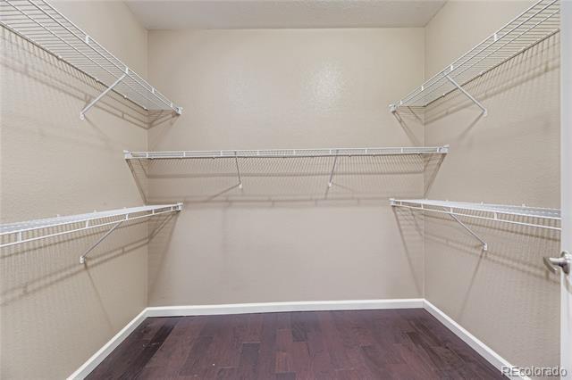 Building Photo - 8552 Gold Peak Ln