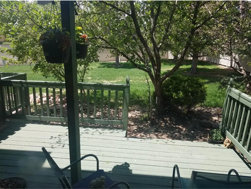 Rear deck and backyard - 6303 Colony Cir