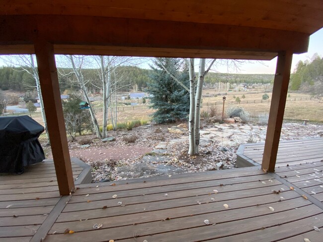 Building Photo - Spacious and Comfortable Colorado Mountain...