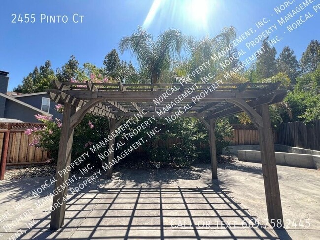Building Photo - 2455 Pinto Ct