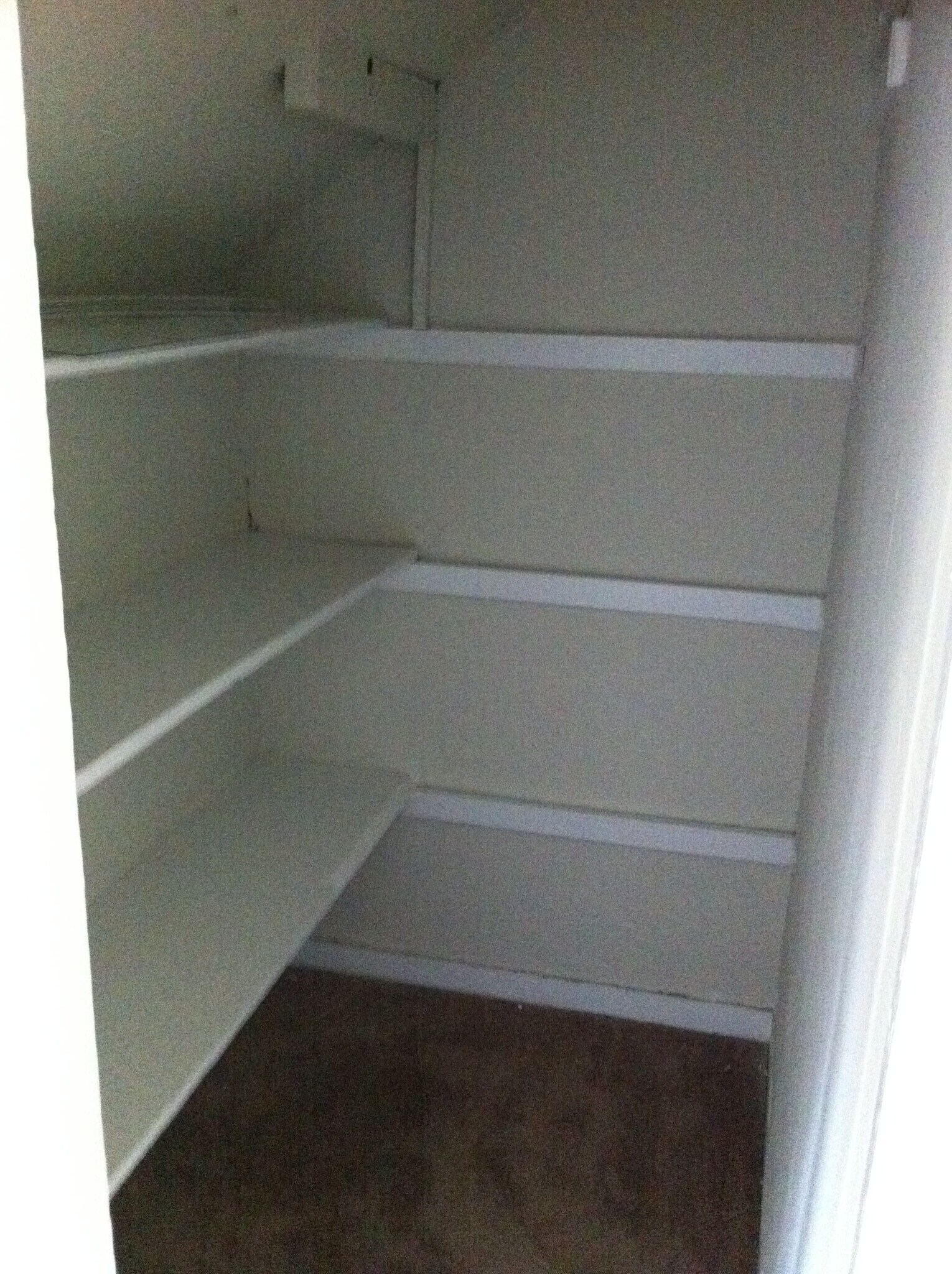 Walk in storage off den - 701 Locust St