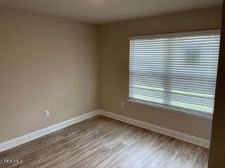 Building Photo - 10073 Willow Leaf Dr